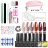 Nail Kit 8ml Gel Nail Polish with 6/54W UV LED Nail Lamp Semi-Permanent UV Varnish Soaked Gel Nail Polish Nail Starter Kit - ZH143-3